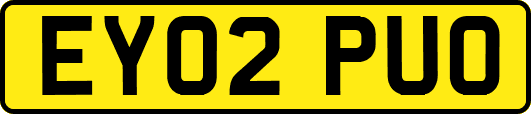EY02PUO