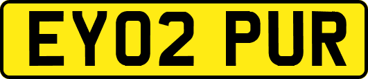 EY02PUR