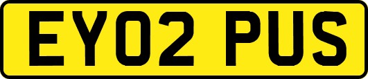 EY02PUS