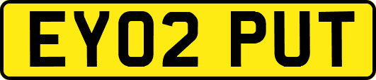 EY02PUT