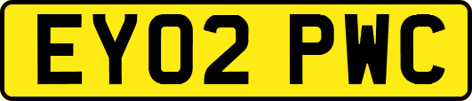 EY02PWC