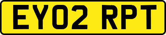 EY02RPT