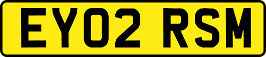 EY02RSM