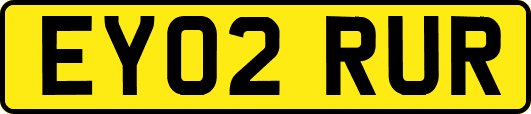 EY02RUR