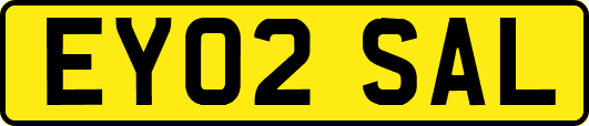 EY02SAL