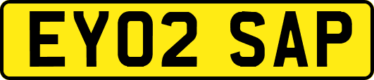 EY02SAP
