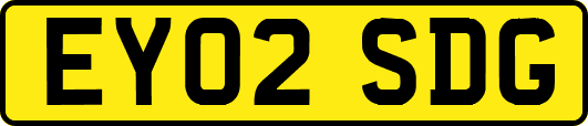EY02SDG