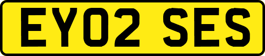EY02SES