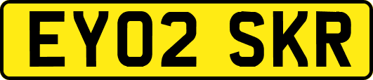 EY02SKR