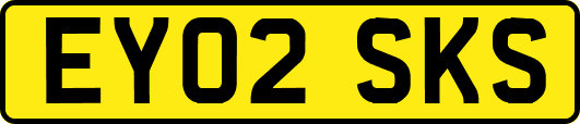 EY02SKS