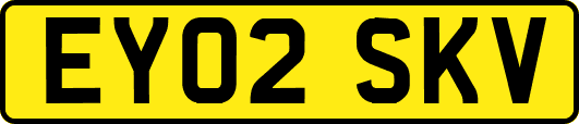 EY02SKV