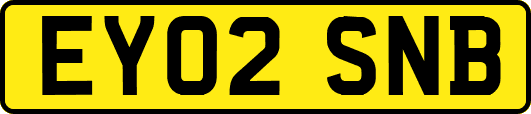 EY02SNB
