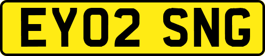 EY02SNG