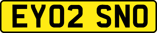 EY02SNO