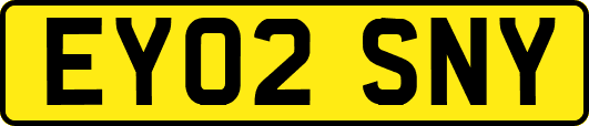 EY02SNY