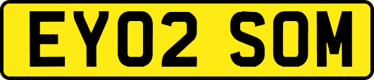 EY02SOM