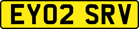 EY02SRV