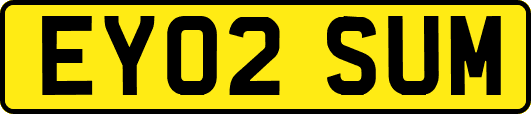 EY02SUM