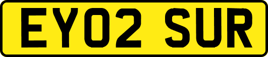 EY02SUR