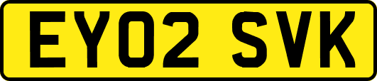 EY02SVK