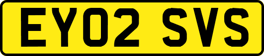 EY02SVS