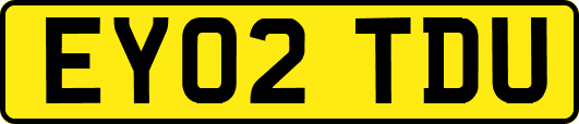 EY02TDU