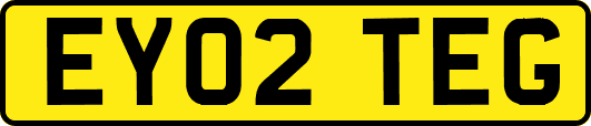EY02TEG