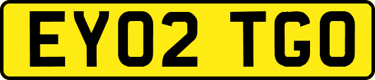 EY02TGO