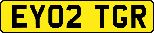 EY02TGR