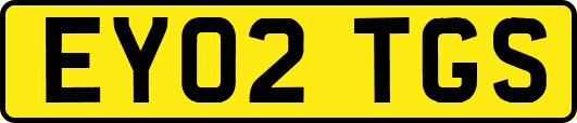 EY02TGS
