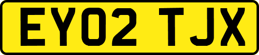 EY02TJX