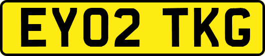 EY02TKG