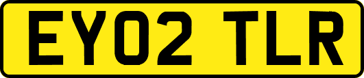 EY02TLR