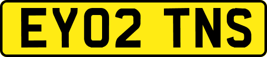 EY02TNS