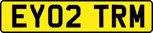 EY02TRM