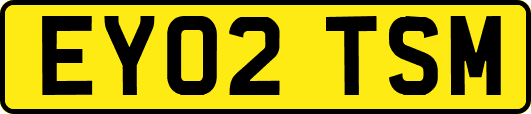 EY02TSM