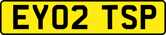 EY02TSP