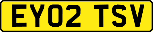 EY02TSV