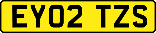 EY02TZS