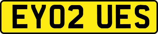 EY02UES