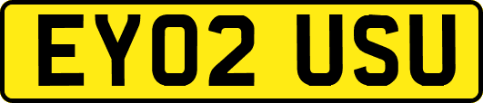 EY02USU