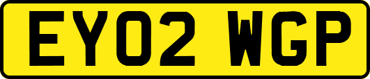 EY02WGP