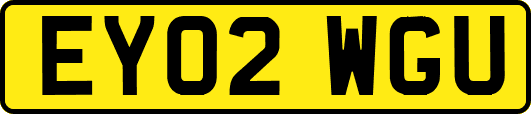 EY02WGU