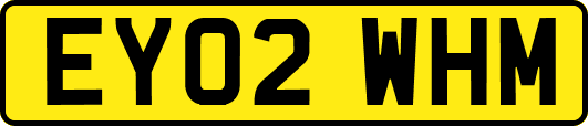 EY02WHM