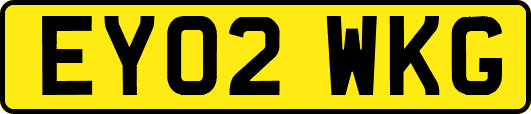 EY02WKG