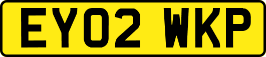 EY02WKP