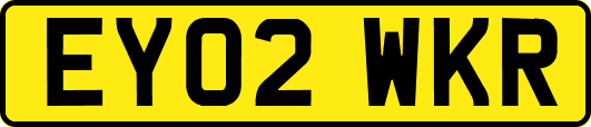 EY02WKR