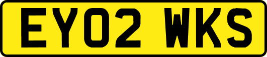 EY02WKS