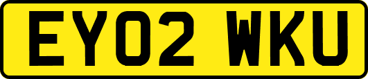 EY02WKU