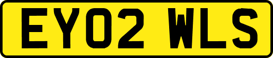 EY02WLS